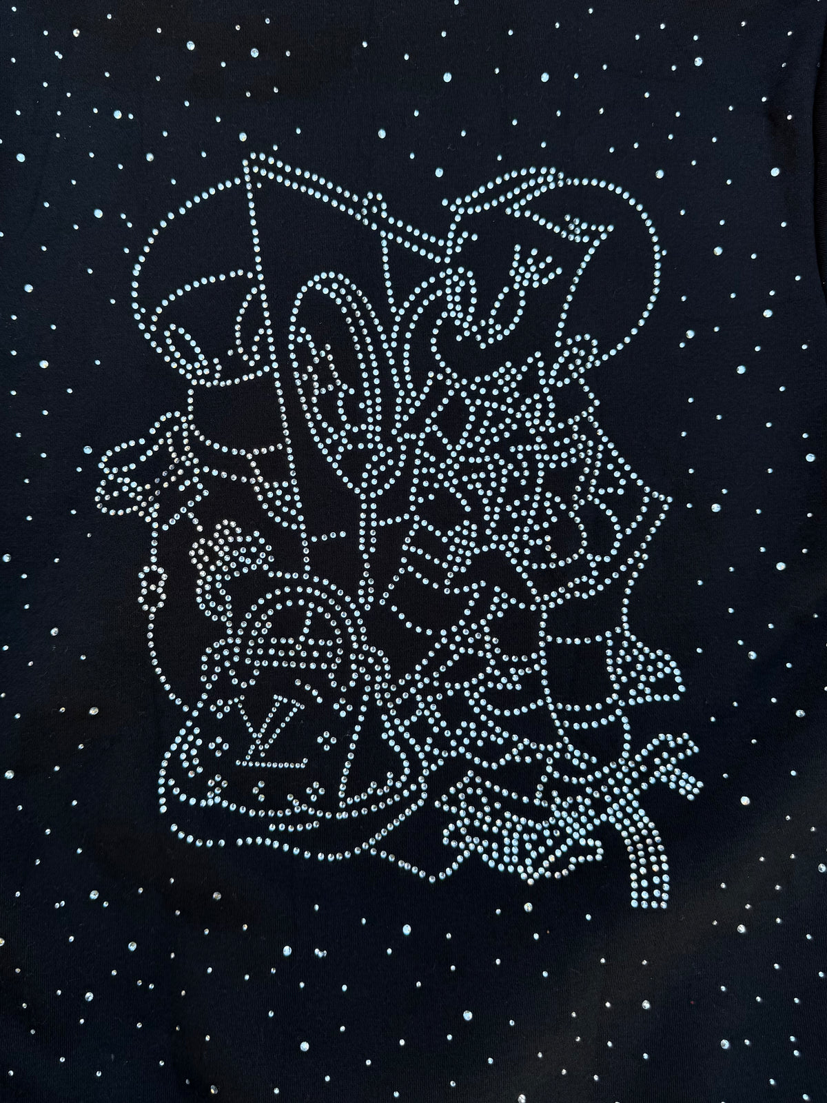 BLK-Rhinestone  Hoodie￼